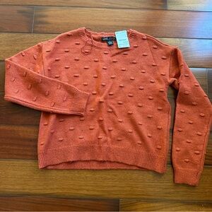 Universal Thread Women's Rust Sweater